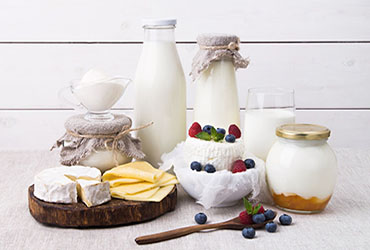 Dairy